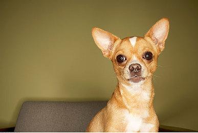 没法玩了？曝《光环：无限》多人会下载1GB数据